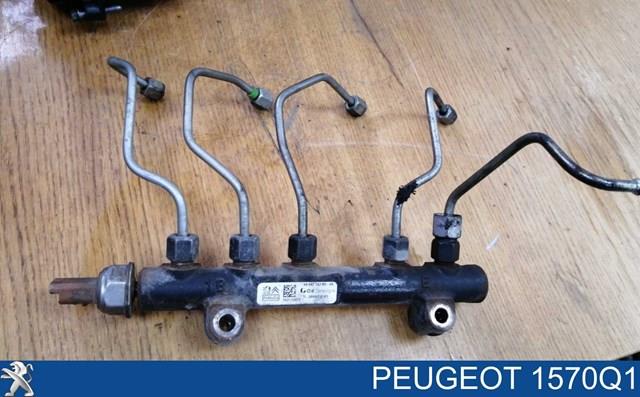 Трубка паливна форсунки 3-го циліндра 1570Q1 PEUGEOT