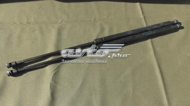 Амортизатор під капот 3W0823475B VAG