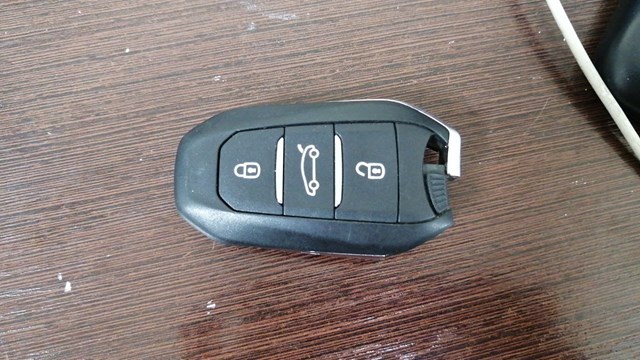 98004801ZD Peugeot/Citroen
