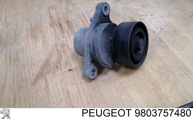 Натяжна планка поліклинового ременя 9803757480 PEUGEOT