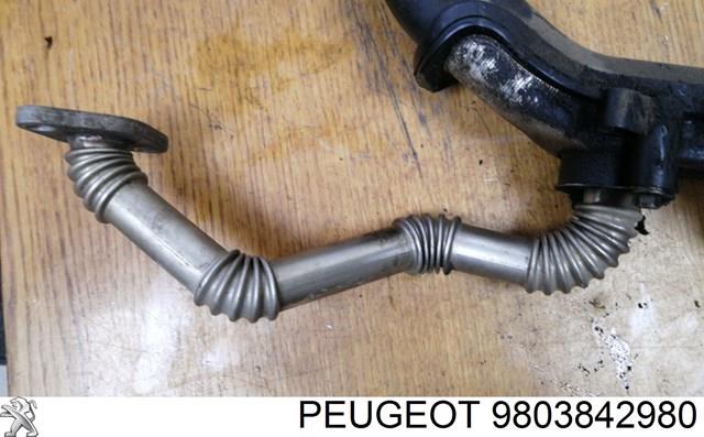 Патрубок радіатора системи рециркуляції ОГ 9803842980 PEUGEOT