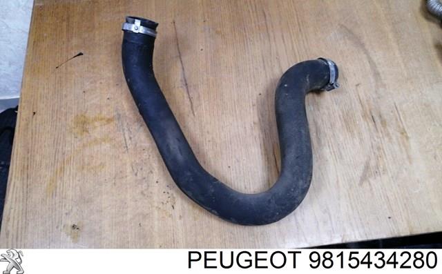 Шланг/патрубок інтеркуллера 9815434280 PEUGEOT