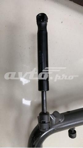 Амортизатор двері 3/5-ї задньої A2227500036 MERCEDES