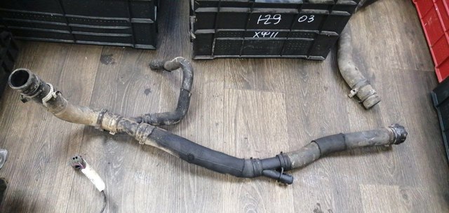 Шланг/патрубок радіатора охолодження, нижній C2Z14277 JAGUAR