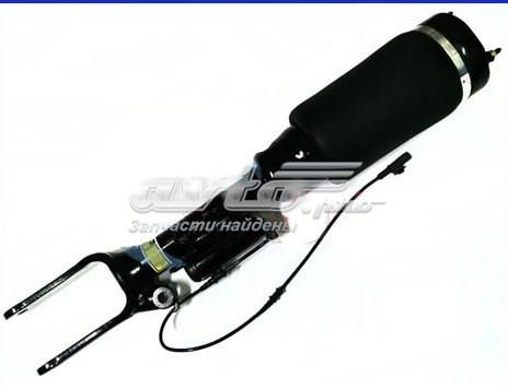 Амортизатори передні MRA2513203113 KRAFFT