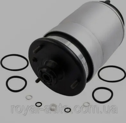 Амортизаційна стійка задня RPD501110 КИТАЙ