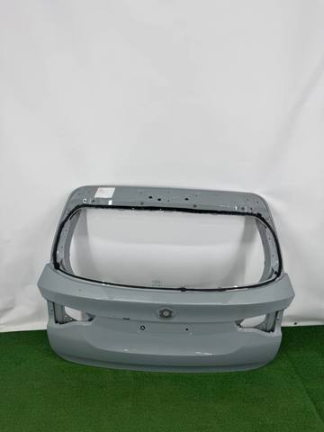 Двері багажника 41007494942 BMW