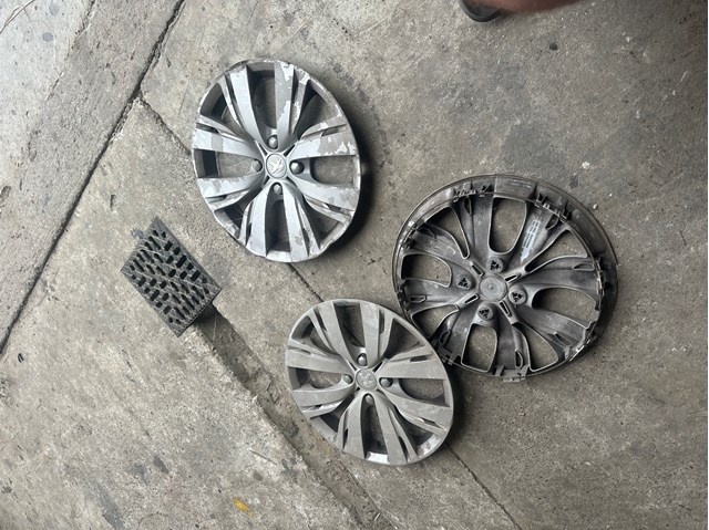 9673846377 Peugeot/Citroen