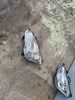 Блок фара ліва 9682828280 PEUGEOT