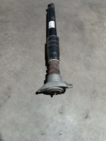 Амортизатори задні 4M0513035AA VAG