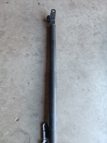 Амортизатор двері 3/5-ї задньої 51217481805 BMW