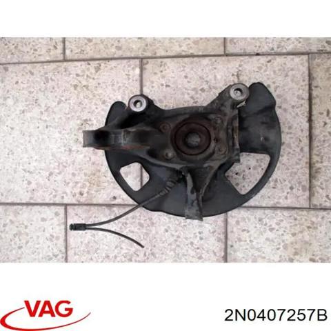 Цапфа поворотного кулака 2N0407257B VAG