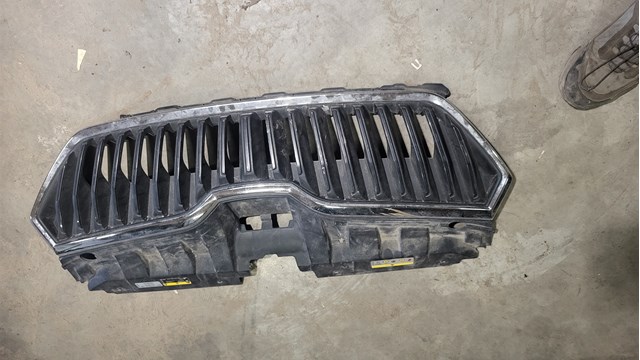 Захисна решітка радіатора 6V0853653C VAG