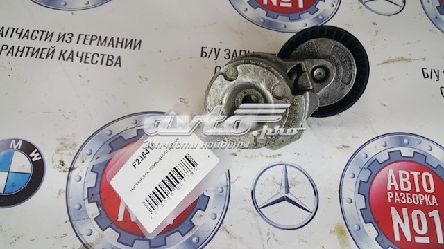 Натягувач приводного ременя F238415 INA