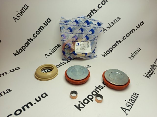 Ремкомплект суппорта гальмівного, переднього 095524 SAMPA