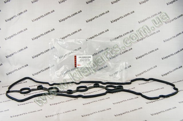 Прокладка клапанної кришки двигуна, комплект 2244126003 KAP