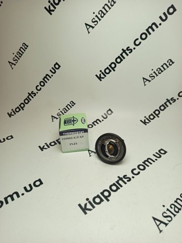 Термостат в зборі KIA Magentis II