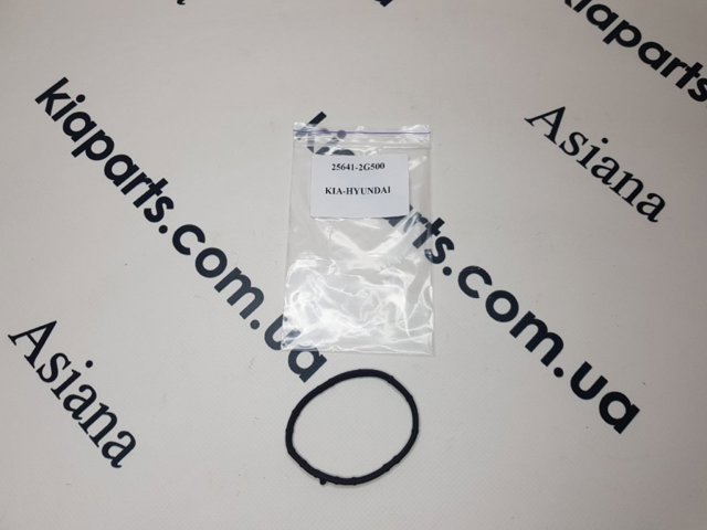 Прокладка корпусу термостата 256412G500 HYUNDAI
