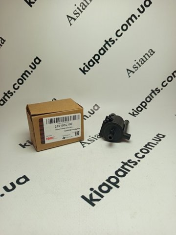 Клапан системи вентиляції паливного бака 289103C100 KAP