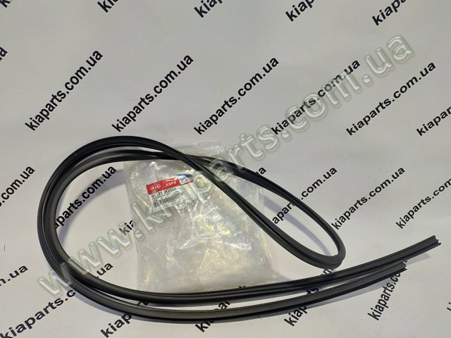 Молдинг лобового скла 861312G500 HYUNDAI