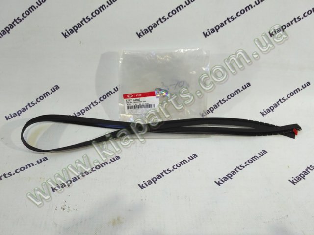 Накладка заднього скла, нижня 87131A7000 HYUNDAI