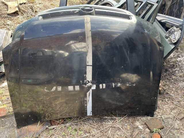 Капот 1160009 GM