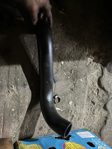 Шланг/патрубок інтеркулера, нижній 11612246717 BMW