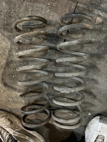 Пружини задні 550200F602 NISSAN