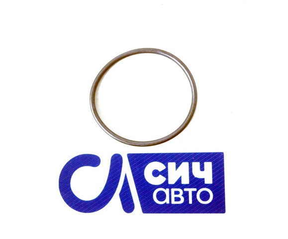 Прокладка термостата Mercedes S