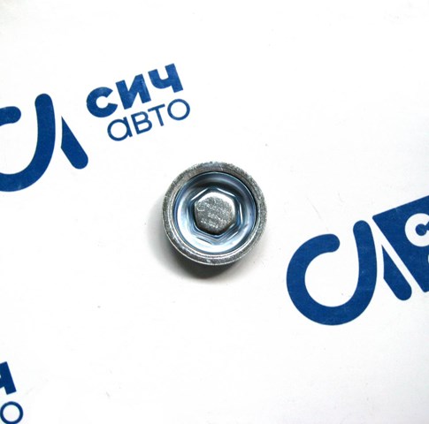 Заглушка головки блока 0210099 TRUCKTEC