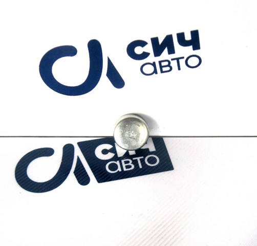 Заглушка головки блока 02544 FEBI