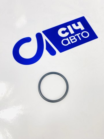 Ущільнююче кільце патрубка радіатора 102594 FEBI