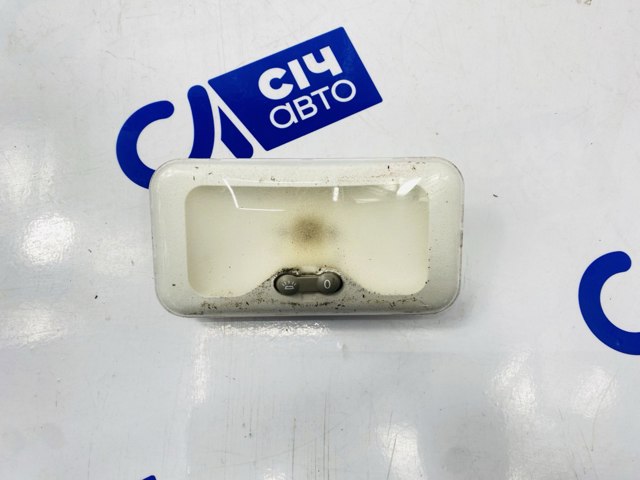 Плафон освітлення салону/кабіни, задній 264306877R RENAULT