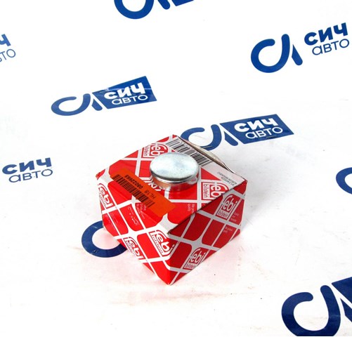 Заглушка головки блока Фольксваген Крафтер 30-35