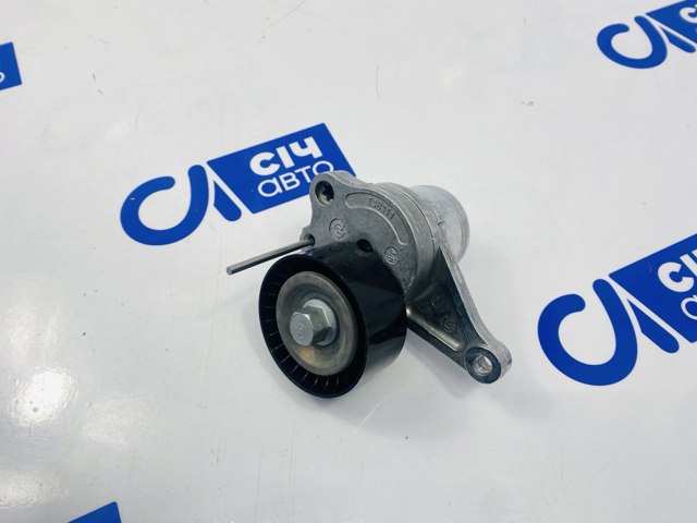 Натягувач приводного ременя 534028110 INA