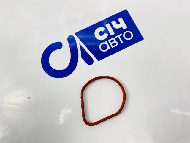 Прокладка термостата Nissan Qashqai 1