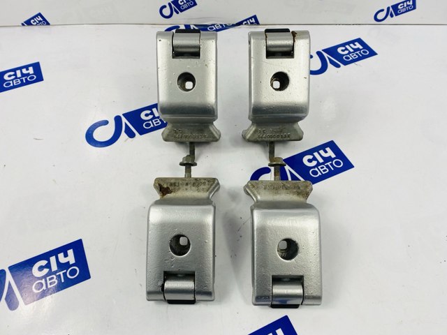 Петля дверей задньої (розпашної) 844000013R RENAULT
