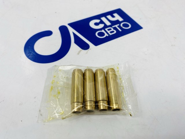 Направляюча клапана G11445 FRECCIA