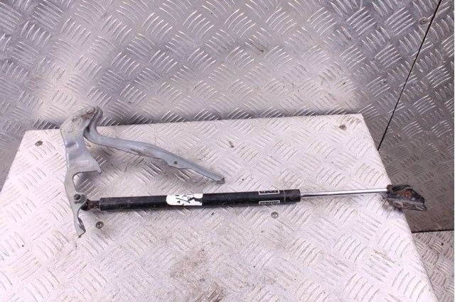 Петля капота, права 57260FG0009P SUBARU