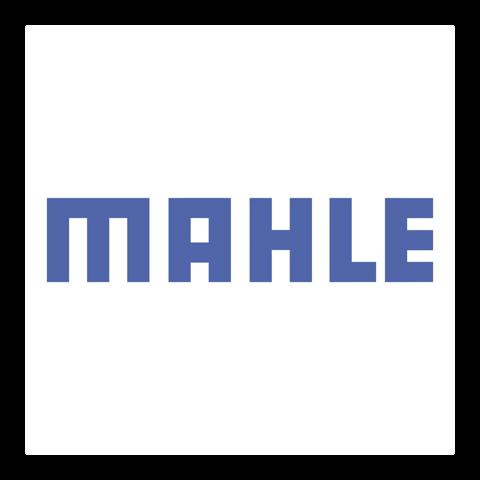 Комплект опорних кілець mahle renault маг "carspares" 021 AS 20009 000