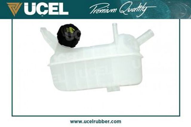 Розширювальний бачок охолодження Renault Scenic II