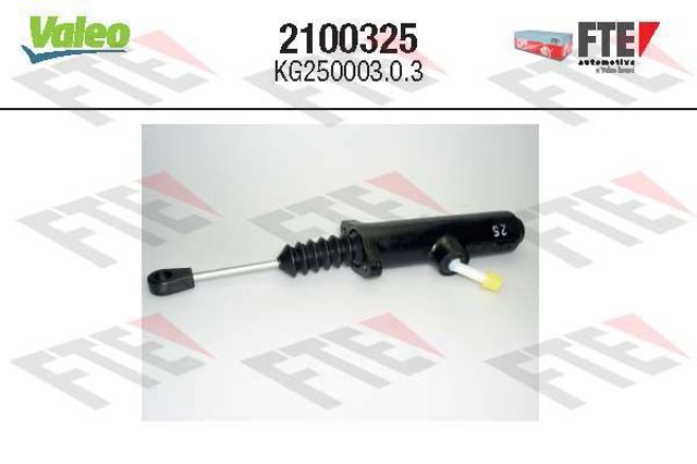 ГЦЗ 2100325 FTE