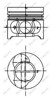 Поршень в зборі 40190610 KOLBENSCHMIDT