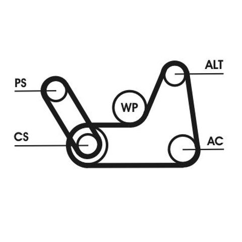 Ремінь приводний, агрегатів, комплект 6PK1019ELASTT1 CONTINENTAL