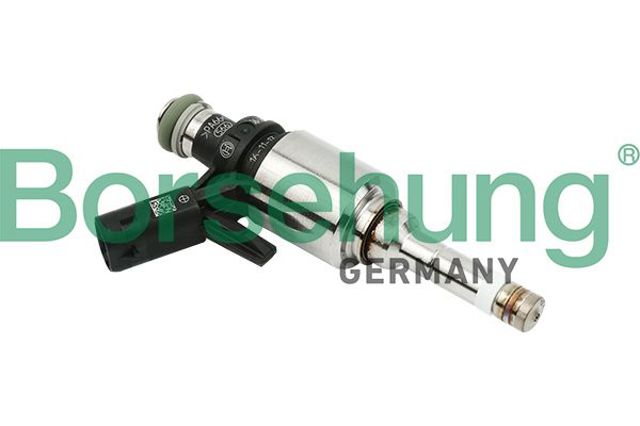 Форсунка інжектора B16924 BORSEHUNG