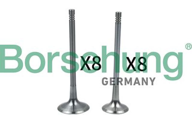 Клапан впускний B18634 BORSEHUNG