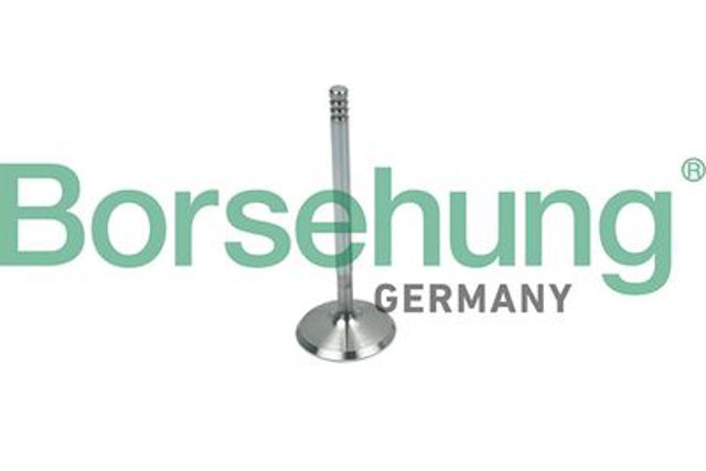 Клапан впускний B19018 BORSEHUNG
