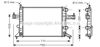 Радіатор охолодження двигуна OLA2303 AVA