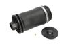 Пневмоподушка задня SAS10010 KAVO PARTS