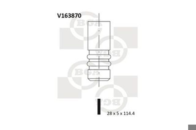 Впускний клапан V163870